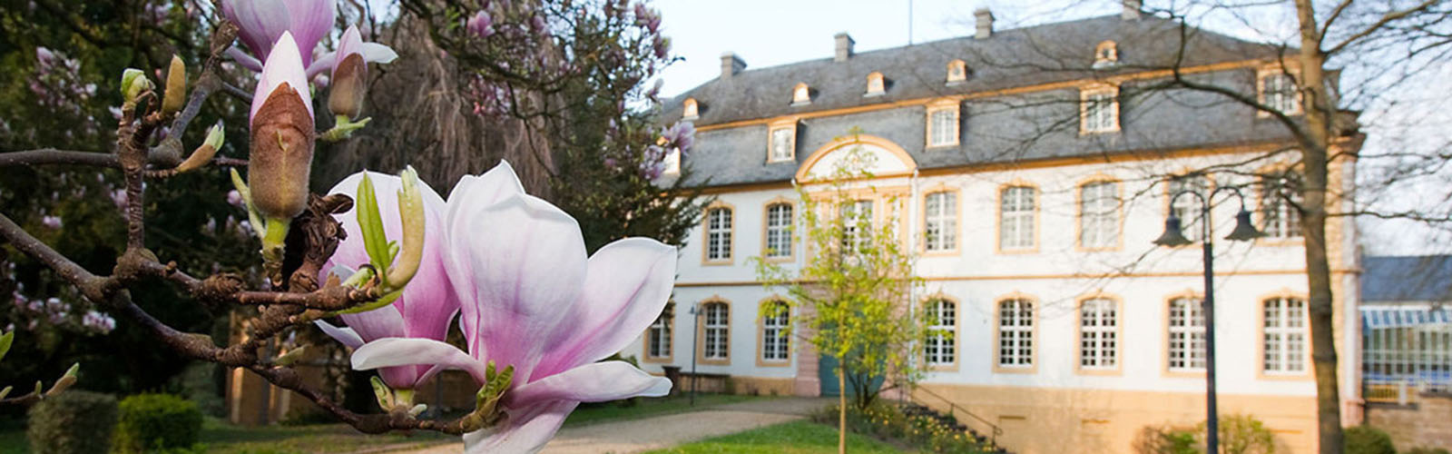 Exterior of a business school building during the springtime. A blossoming tree is in the foreground.